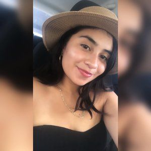 Meet your Posher, Samary